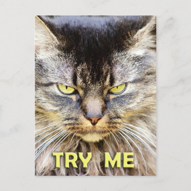 Try Me! Postcard (Front)