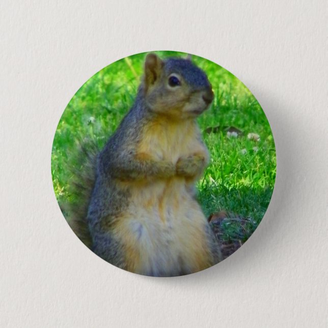 Try_ Pinback Button (Front)