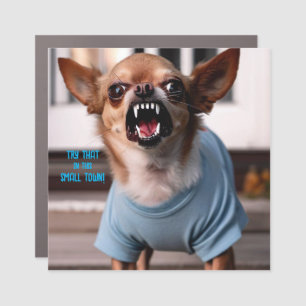 TRY THAT IN THIS SMALL TOWN Car Magnet