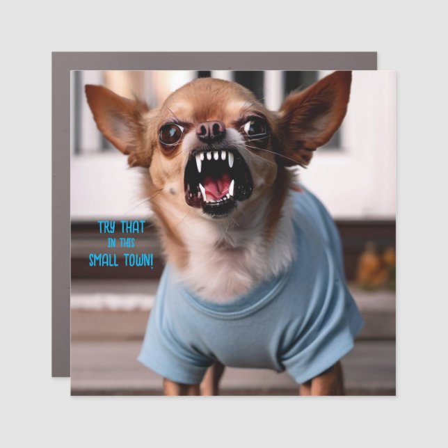 TRY THAT IN THIS SMALL TOWN Car Magnet (Front)