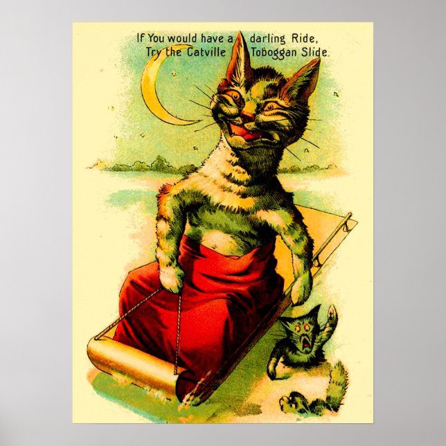 Try the Catville Toboggan Slide Poster (Front)