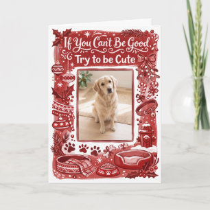 Try To Be Cute Funny Dog Photo Christmas Holiday Card