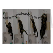 Try until you can (Front Horizontal)