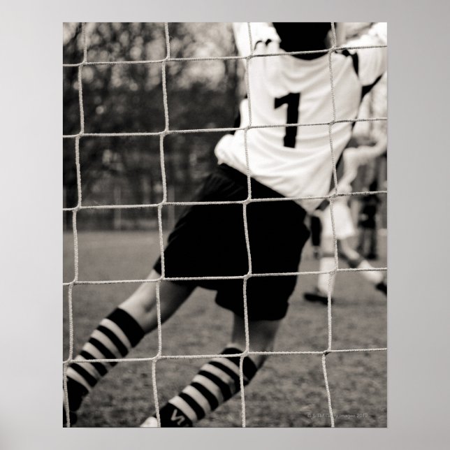 Trying to protect the team with the net in focus poster (Front)