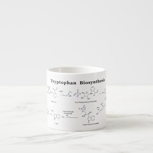 Tryptophan Biosynthesis Chart Espresso Cup