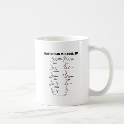 Tryptophan Metabolism Chemistry Coffee Mug