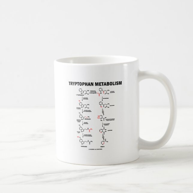 Tryptophan Metabolism (Chemistry) Coffee Mug (Right)
