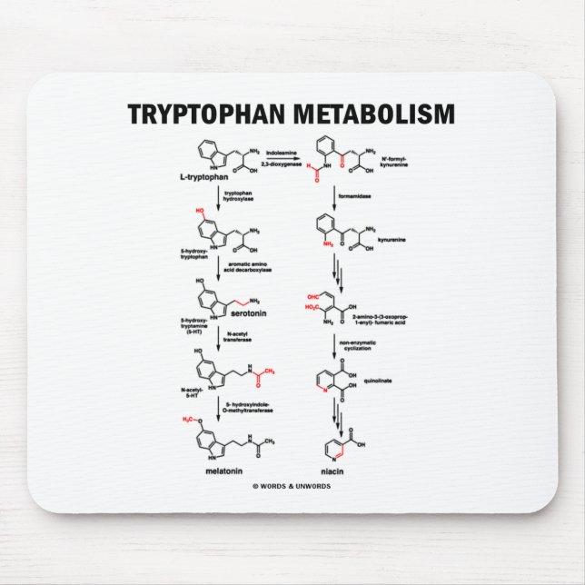 Tryptophan Metabolism (Chemistry) Mouse Pad (Front)
