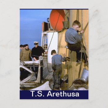 Ts Arethusa  Painting The Mast Postcard by windsorarts at Zazzle