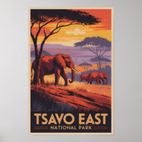 Tsavo East National Park Kenya Illustration Travel
