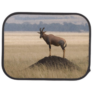 Tsessebe Antelope On Lookout For Predators Car Mat