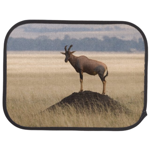 Tsessebe Antelope On Lookout For Predators Car Mat (Rear)