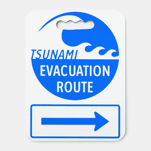 Tsunami Evacuation Route Seat Cushion