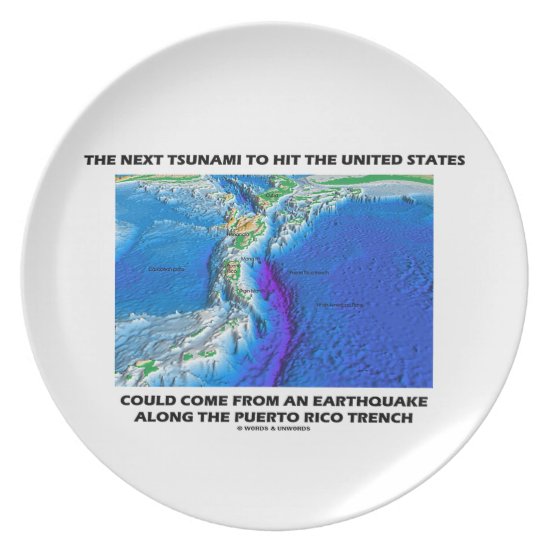 Tsunami Puerto Rico Trench (Plate Tectonics Earth) Melamine Plate