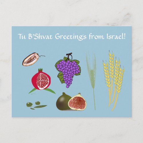 Tu Bishvat _ 7 minim Postcard