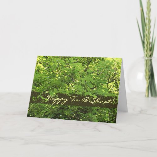 Tu BShvat Greeting Card _ Sunlight through Leaves