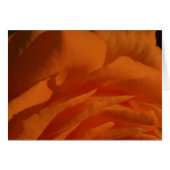 Tú eres mi amor, mi vida (Front Horizontal)