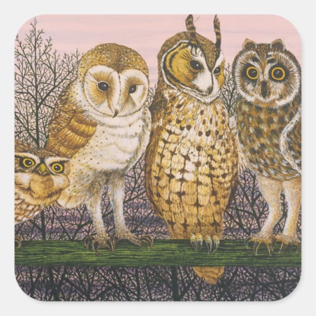 Tu-whit Tu-whooing Square Sticker (Front)