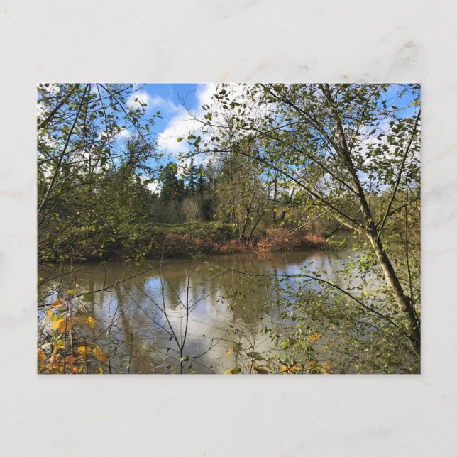 Tualatin River, Oregon Postcard (Front)