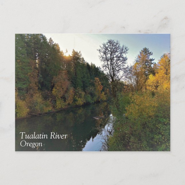 Tualatin River, Oregon Postcard (Front)
