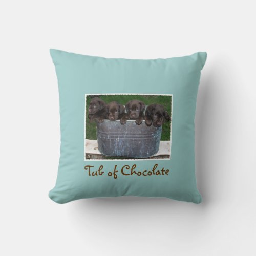 Tub of Chocolate Labs on decorative pillow
