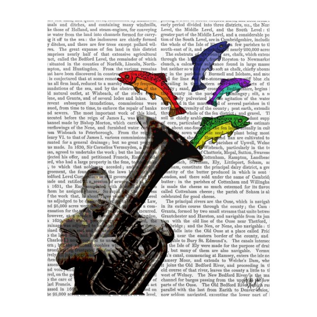 Tuba And Fish Acrylic Print (Front)