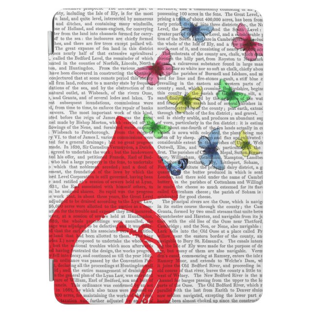 Tuba with Butterflies iPad Air Cover (Front)
