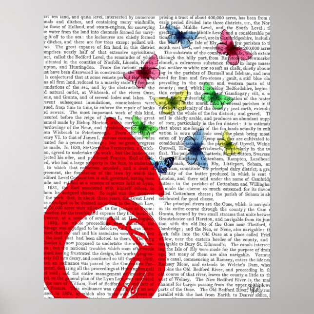 Tuba with Butterflies Poster (Front)