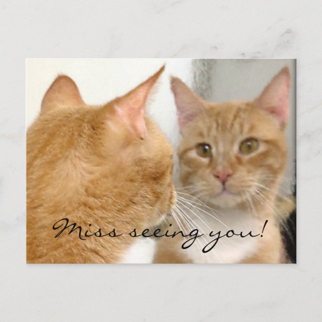 Tubo - Miss seeing you! Postcard (Front)