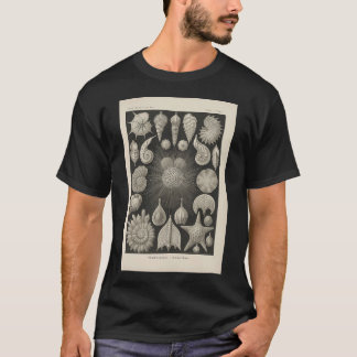 Tubulariae RoÌˆhrenpolnpen Ernst Haeckel T-Shirt