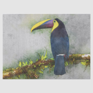 tucan bird tissue paper
