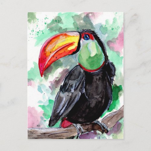 Tucan Bird Watercolor Postcard