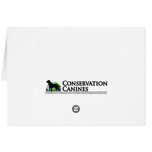 Tucker At Work Conservation Canines Labrador (Back Horizontal)