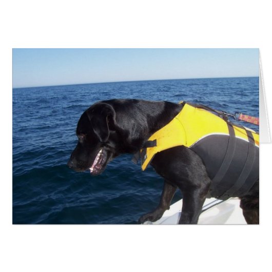 Tucker At Work Conservation Canines Labrador Cards (Front Horizontal)