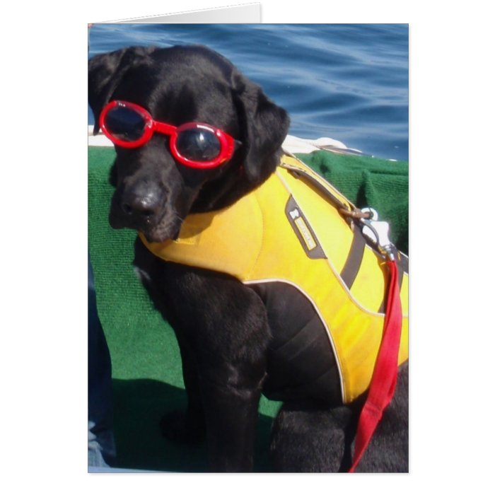 Tucker in Goggles Conservation Canines Labrador Greeting Card