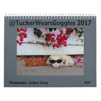 Tucker Wears Goggles 2017 Calendar