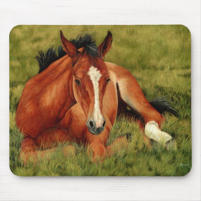 Tuckered Out - Resting Foal Mousepad (Front)