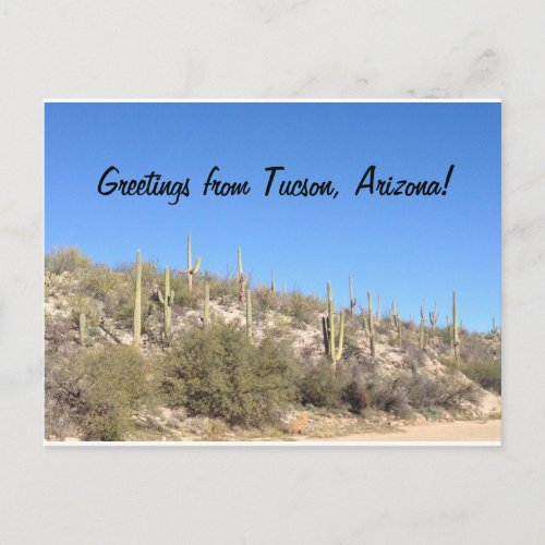 Tucson Arizona Desert Southwest Saguaro Postcard
