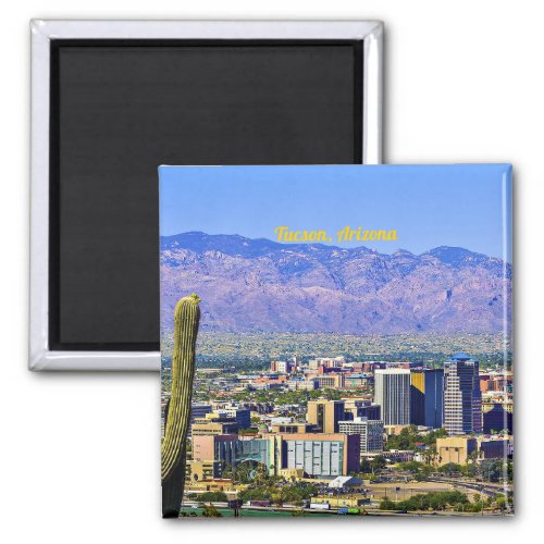 Tucson Arizona scenic view Magnet