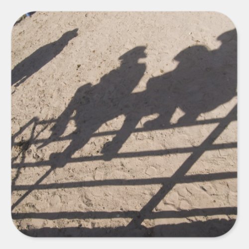 Tucson Arizona Shadows of Rodeo competitors Square Sticker