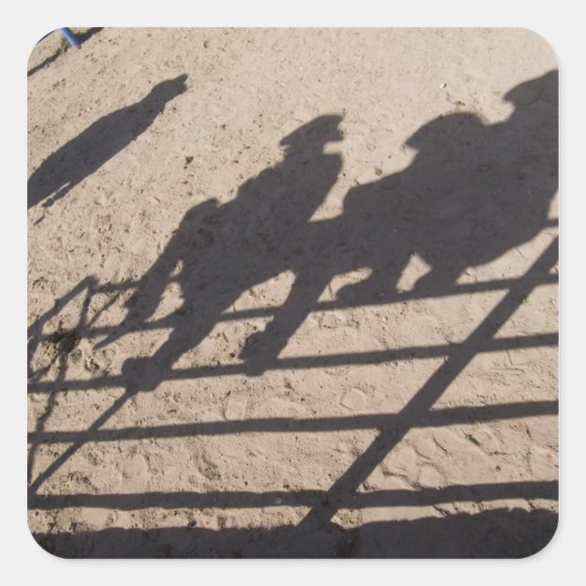 Tucson, Arizona: Shadows of Rodeo competitors Square Sticker (Front)