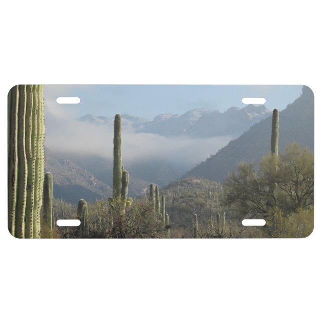 Tucson Desert License Plate (Front)