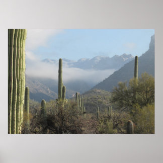 Tucson Desert Poster