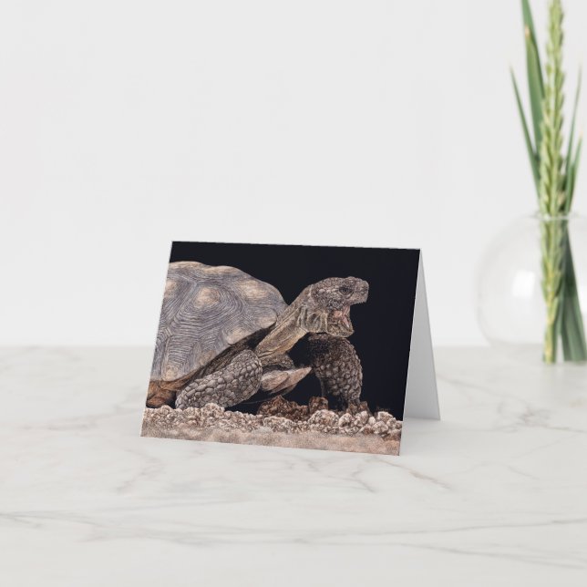 "Tucson Yawn" - Desert Tortoise Card (Front)