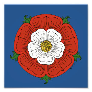 Tudor Rose Photo Print