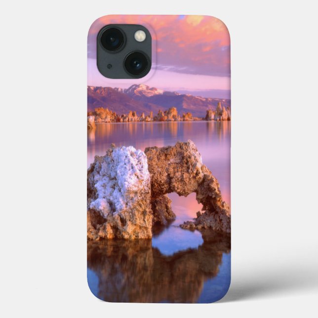 Tufa arch at Mono Lake Case-Mate iPhone Case (Back)