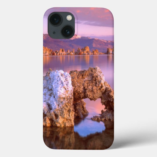 Tufa arch at Mono Lake Case-Mate iPhone Case (Back)