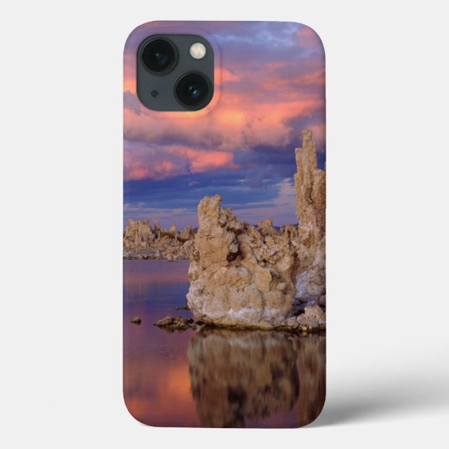 Tufa Formations on Mono Lake Case-Mate iPhone Case (Back)