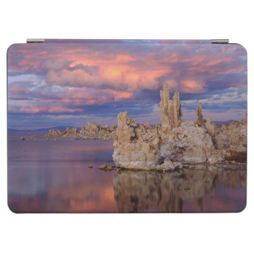 Tufa Formations on Mono Lake iPad Air Cover