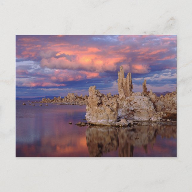Tufa Formations on Mono Lake Postcard (Front)